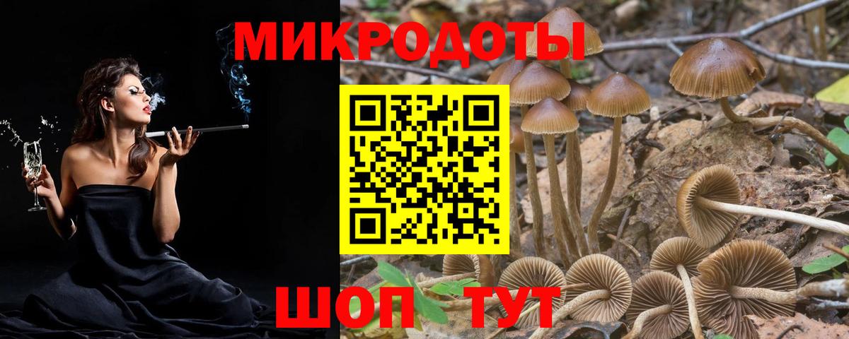 Люберцы  где купить наркоту  Вход с VPN  Псилоцибиновые грибы GOLDEN TEACHER 