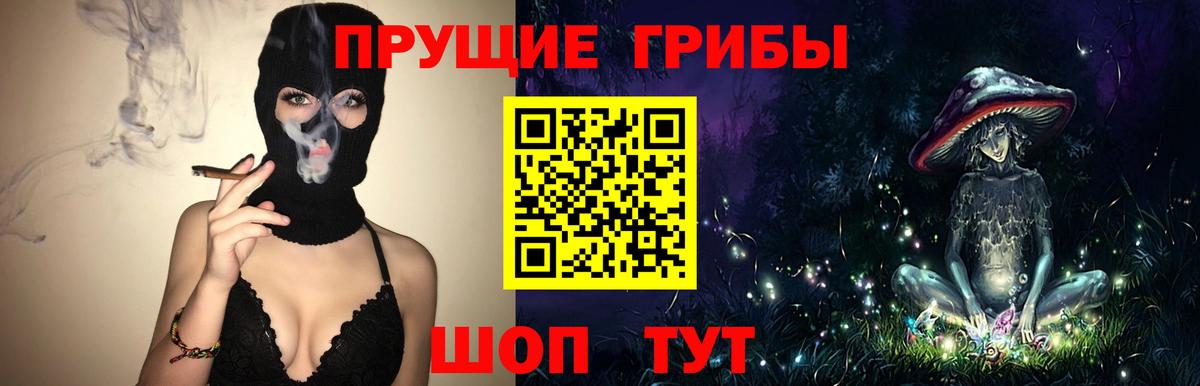 Псилоцибиновые грибы мицелий Люберцы